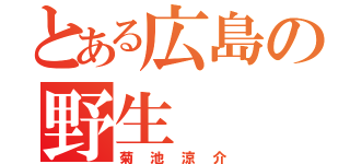 とある広島の野生（菊池涼介）