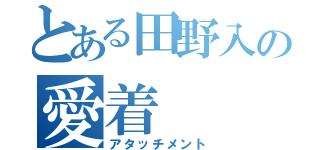 とある田野入の愛着（アタッチメント）