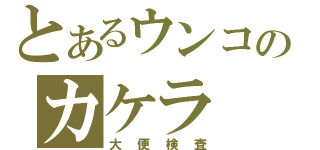 とあるウンコのカケラ（大便検査）