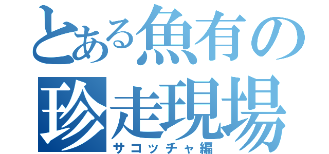 とある魚有の珍走現場（サコッチャ編）