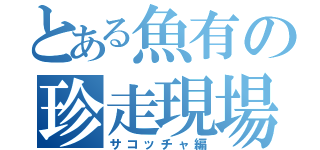 とある魚有の珍走現場（サコッチャ編）