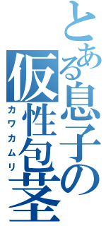 とある息子の仮性包茎（カワカムリ）