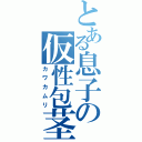 とある息子の仮性包茎（カワカムリ）