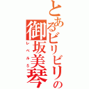 とあるビリビリ中学生の御坂美琴（レベル５）