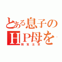 とある息子のＨＰ母を（閲覧注意）