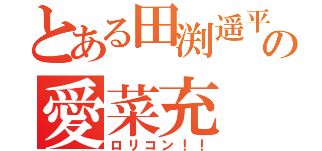 とある田渕遥平の愛菜充 ☆（ロリコン！！）