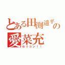 とある田渕遥平の愛菜充 ☆（ロリコン！！）