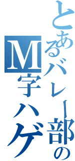 とあるバレー部顧問のＭ字ハゲ（）