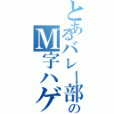 とあるバレー部顧問のＭ字ハゲ（）