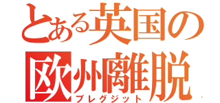 とある英国の欧州離脱（ブレグジット）