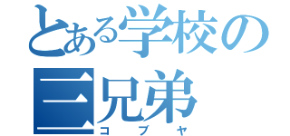 とある学校の三兄弟（コブヤ）