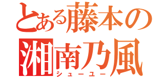 とある藤本の湘南乃風（シューユー）