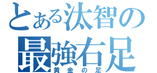 とある汰智の最強右足（黄金の足）