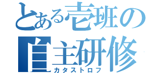 とある壱班の自主研修（カタストロフ）