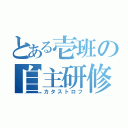 とある壱班の自主研修（カタストロフ）