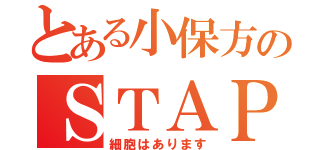 とある小保方のＳＴＡＰ（細胞はあります）