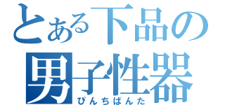 とある下品の男子性器（ぴんちばんた）