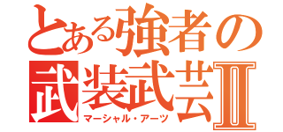 とある強者の武装武芸Ⅱ（マーシャル・アーツ）