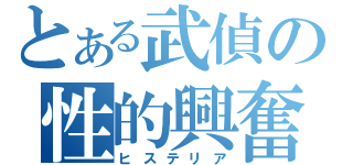 とある武偵の性的興奮（ヒステリア）