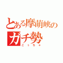 とある摩萌峡のガチ勢（こぅちゃ）