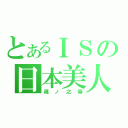 とあるＩＳの日本美人（篠ノ之箒）