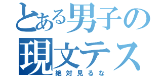 とある男子の現文テスト（絶対見るな）