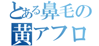 とある鼻毛の黄アフロ（）