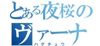 とある夜桜のヴァーナス（ハゲチュウ）