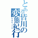 とある皆川の変態紀行（エロティック）