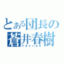 とある団長の蒼井春樹（アオイハルキ）