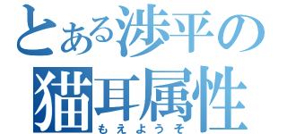 とある渉平の猫耳属性（もえようそ）