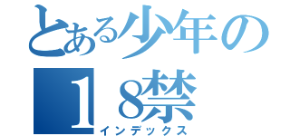 とある少年の１８禁（インデックス）