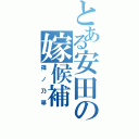 とある安田の嫁候補（篠ノ乃箒）