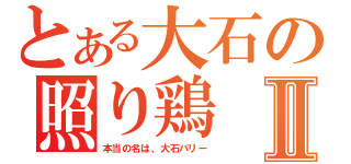 とある大石の照り鶏Ⅱ（本当の名は、大石バリー）