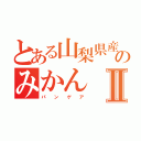 とある山梨県産のみかんⅡ（パ　　ン　　ゲ　　ア）