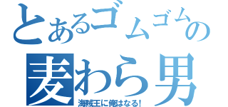 とあるゴムゴムの麦わら男（海賊王に俺はなる！）