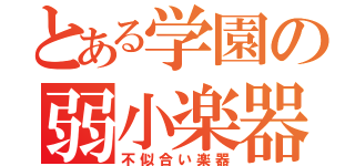 とある学園の弱小楽器（不似合い楽器）