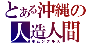 とある沖縄の人造人間（ホムンクルス）