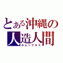 とある沖縄の人造人間（ホムンクルス）