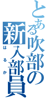 とある吹部の新入部員Ⅱ（はるか）