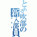 とある吹部の新入部員Ⅱ（はるか）