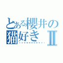 とある櫻井の猫好きⅡ（😺😺😺😺😺😺😺😺）