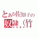 とある佐知子の奴隷（竹田）（主従関係）