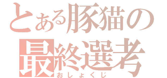 とある豚猫の最終選考（おしょくじ）