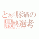 とある豚猫の最終選考（おしょくじ）