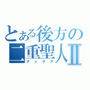 とある後方の二重聖人Ⅱ（アックア）