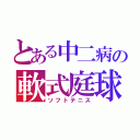 とある中二病の軟式庭球（ソフトテニス）