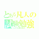 とある凡人の試験勉強（ムダな悪足掻き）