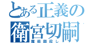 とある正義の衛宮切嗣（魔術師殺し）