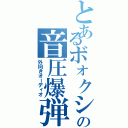 とあるボォクシーの音圧爆弾（外向きオーディオ）